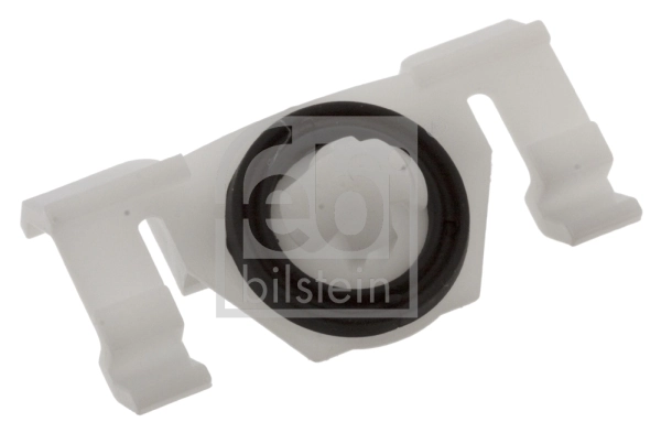 Clip, trim/protection strip